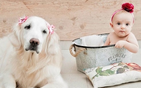 Prénom Fille 2016 • Zoé
